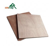 furniture bintangur surface commercial plywood