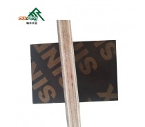 ply shuttering panel wooden sheet hardwood plywood