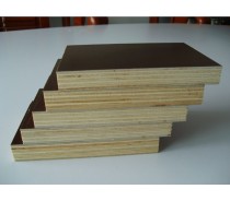 high quality phenolic plywood ply wood sheet in china
