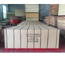 FILM FACED PLYWOOD