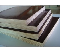 Phenolic film faced construction plywood