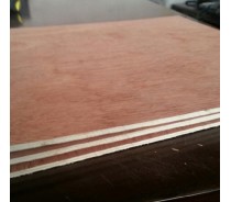 bingtangor face and back plywood