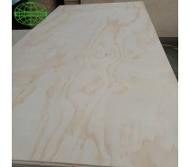 Pine faced plywood poplar sheet for Chile market