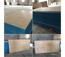 Pine faced  plywood poplar sheet for Mexico market