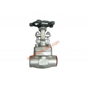 SW Ends Forged Steel Globe Valve