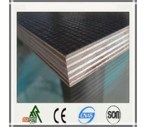 big size  film faced plywood