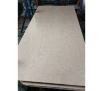 birch plywood