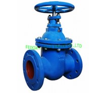 DIN CAST IRON GATE VALVE,METAL SEATED,F5, NRS, PN16