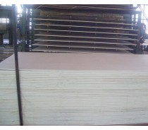 beech mdf
