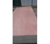 5mm Bintangor Plywood