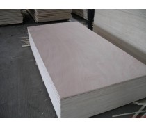 door  size plywood