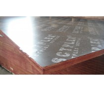 high quality film faced plywood