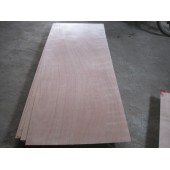 Plywood Door Skin