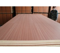 Sapeli Plywood