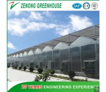 Venlo Type PC Greenhouse for Vegetables/Flowers