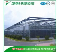 Intelligent Multi-Span Float Glass Greenhouse for Vegetables
