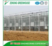 Intelligent Multi-Span Float Glass Greenhouse for Vegetables