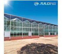 Venlo Glass Greenhouse with Galvanized Steel Structure