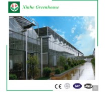 Agriculture Polycarbonate Greenhouse for Vegetable