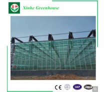 Tempred Glass Greenhouse for Cucumber