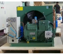 Low Temperature Cold Room Air Cold Condensing Unit