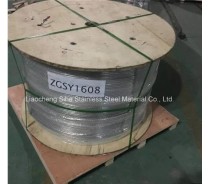 SS304 Seamless Stainless Steel Coil Pipe