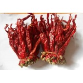 Hot-Selling High Quality Dried Red Chili