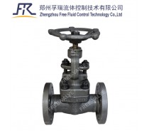 FRJ41Y RF Flanged Forged Steel A105 Globe Valve