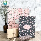 Custom Printing Kraft Paper Gift Packaging Bag