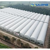 Large Vegetables Plastic Film Materials Greenhouse Design