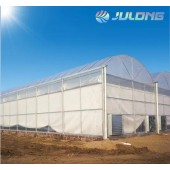 Tunnel 200 Micron Plastic Film Greenhouse