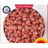 Peanut in Shell/Blanched Peanuts/Peanut Kernels for Sale