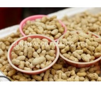 Raw Peanuts in Shell Roasted Peanut for Sale
