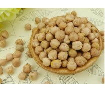 Natural Plant Good Quality Chickpea with Lower Price