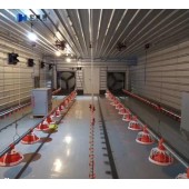 Heat Proof Commercial Chicken Poultry Shed Steel Structure