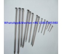 Q195 Common Wire Nails Wood Nails Manufacturer