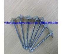 Umbrella Head Roofing Nails Corrugated Nails Galvanized