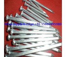 Electro Galvanized Square Boat nail zinc galvanized