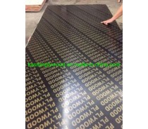 Commercial Melamine Plywood