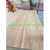 Melamine/Laminated Fancy Marine Commercial Plywood