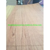 Factory-Natural Black Walnut Fancy Plywood 4.8mm-18mm