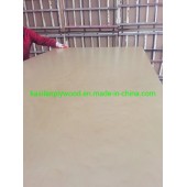 Fancy Maple Commercial Plywood