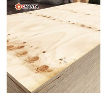 Pine Plywood 1220x2440x18mm CDX Shuttering Plywood