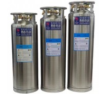 Cryogenic insulated gas cylinder (Dewar)