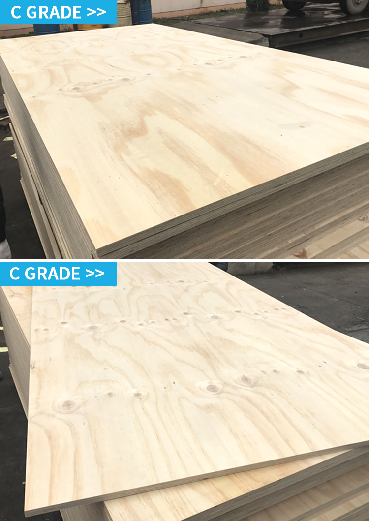 CDX Pine Plywood