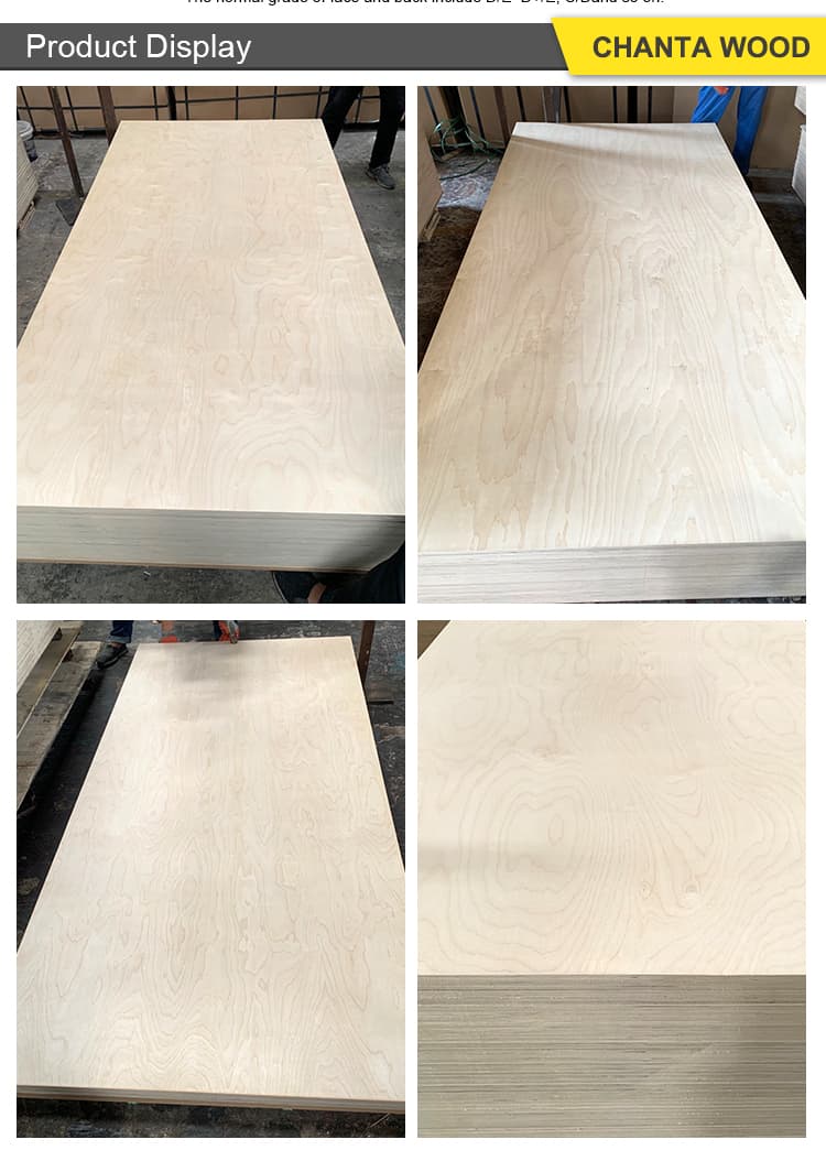 birch Plywood