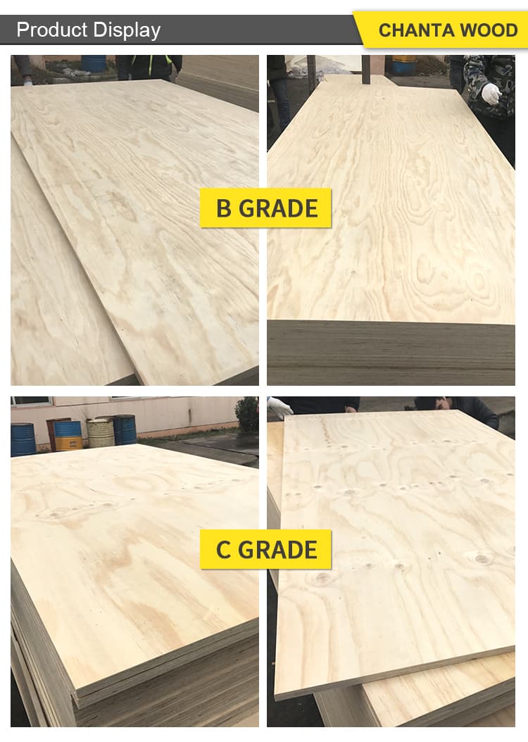 cdx plywood