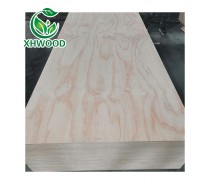 CDX pine plywood construction use high quality XHWOOD
