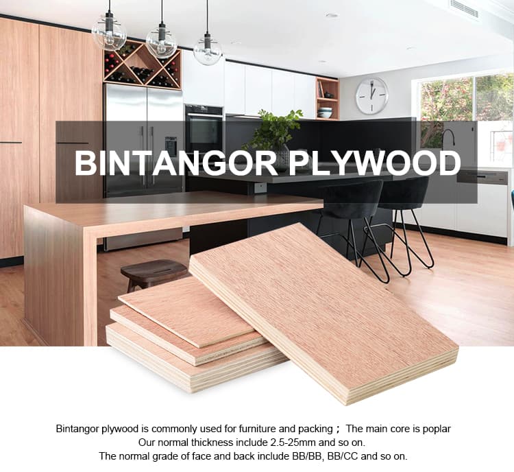 bintangor plywood