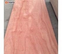 4x8 Commercial Plywood Veneer Bintangor Plywood